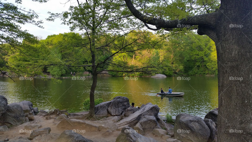 Lake at Central park