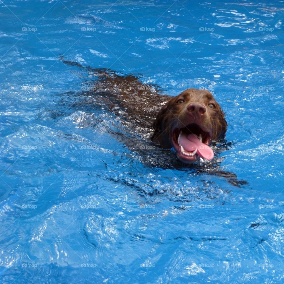 swimming