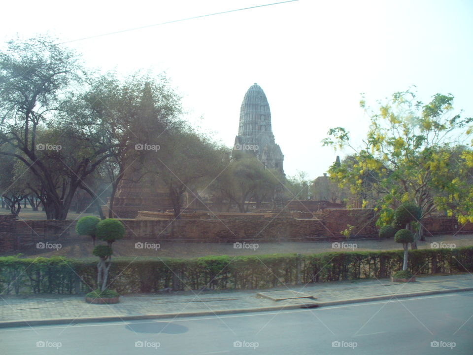 Tree, Travel, Religion, Architecture, Temple