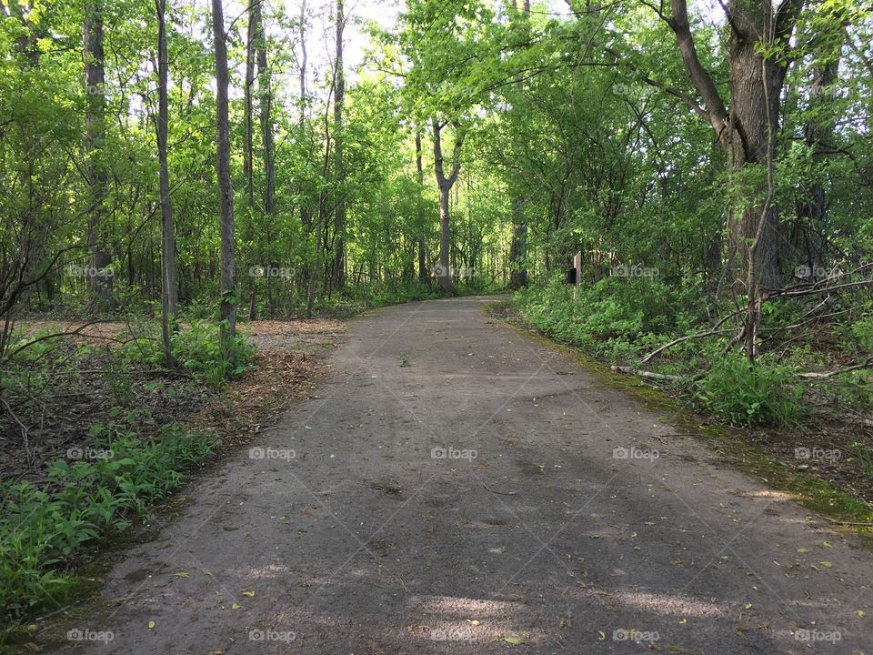 Trail at Meridian park 
Late afternoon 