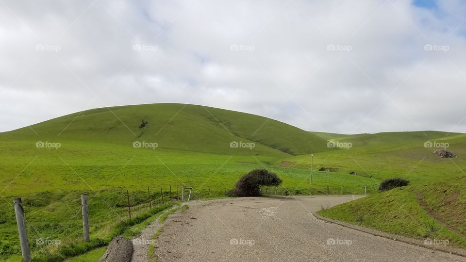 green rolling hills