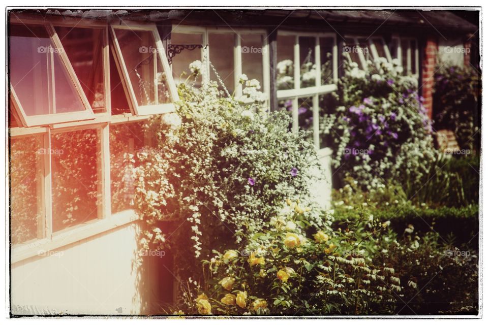 Window, House, Family, No Person, Architecture