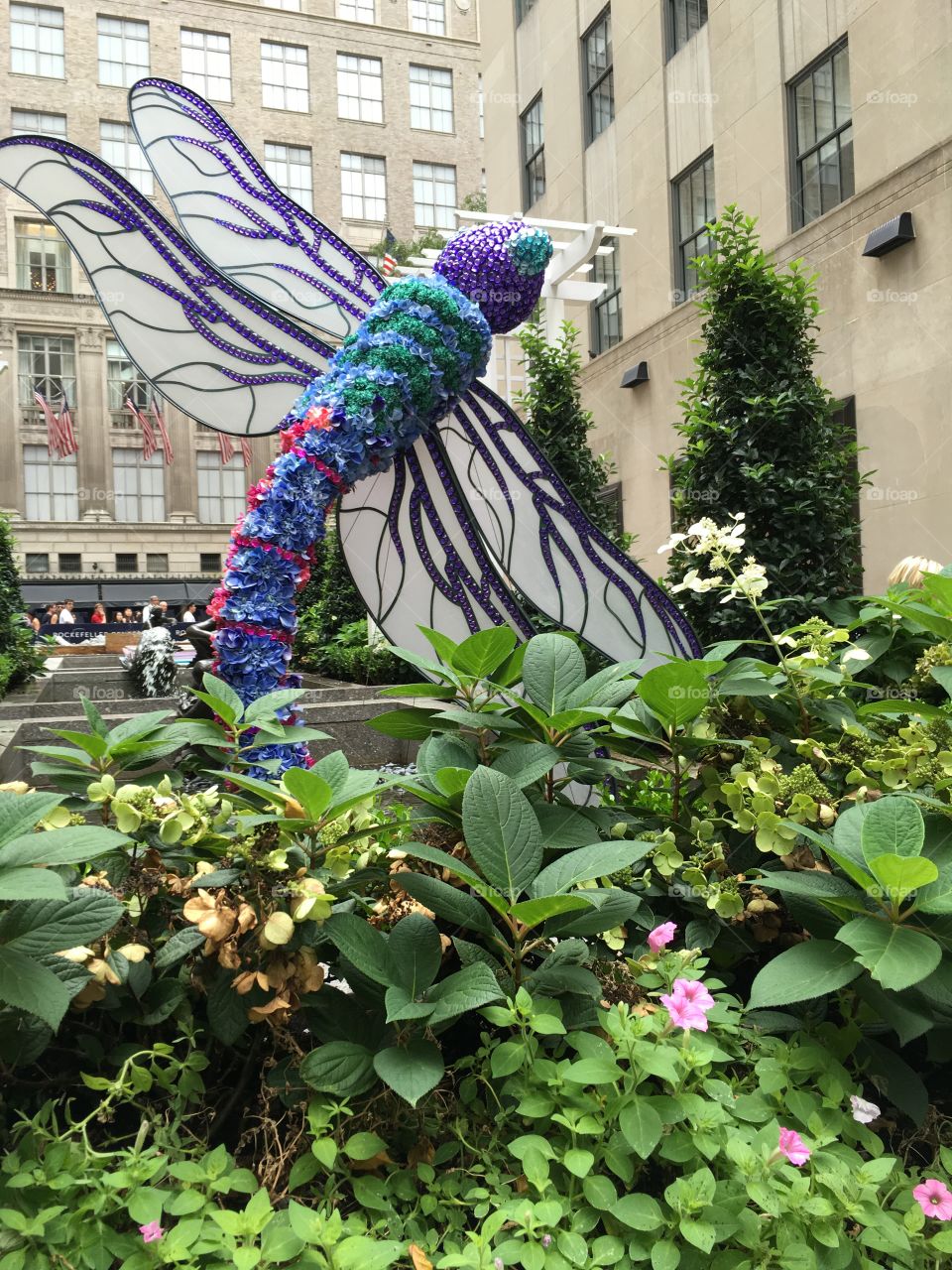 Dragon fly made of flowers in NYC 