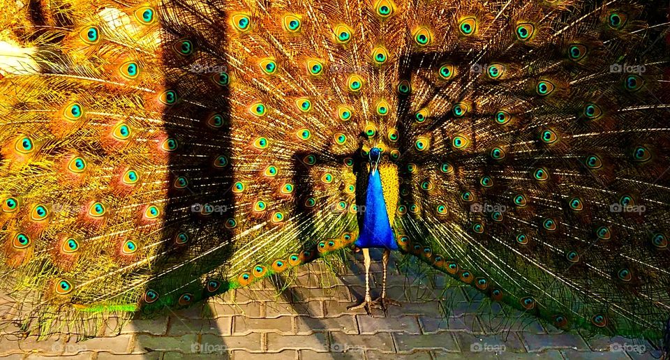 Photo of the month April