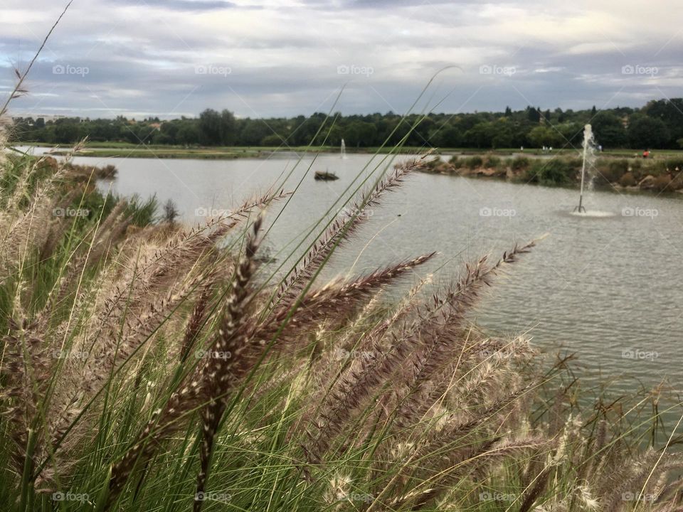 Great view of a small dam at a golf course park 