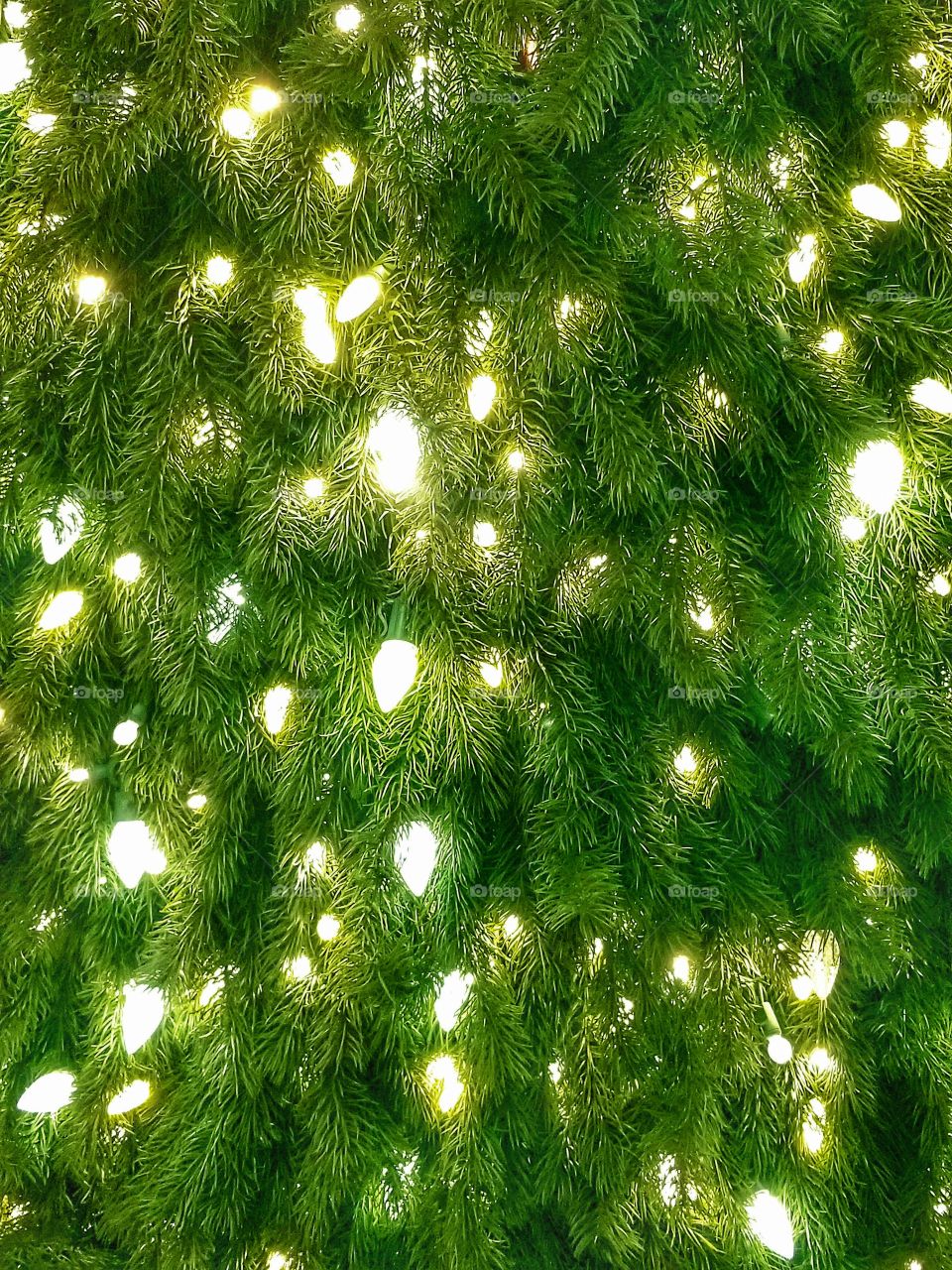 ILLUMINATION of Lights