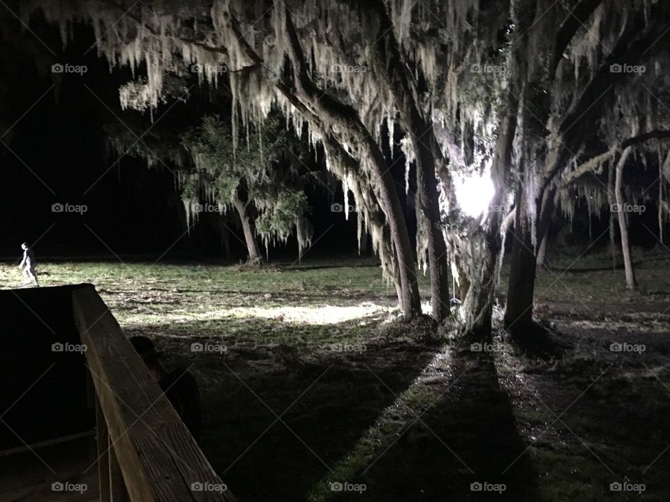 Movie set lighting to simulate moonlight through trees.