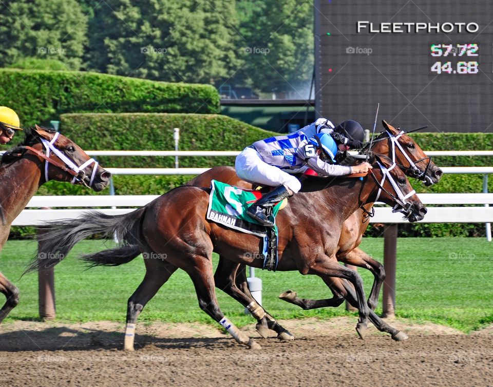 The Schuylerville Dead Heat. Bahnah and Brazen Persausion raced to a Dead Heat in the featured stakes at Saratoga for juvenile fillies.
Fleetphoto