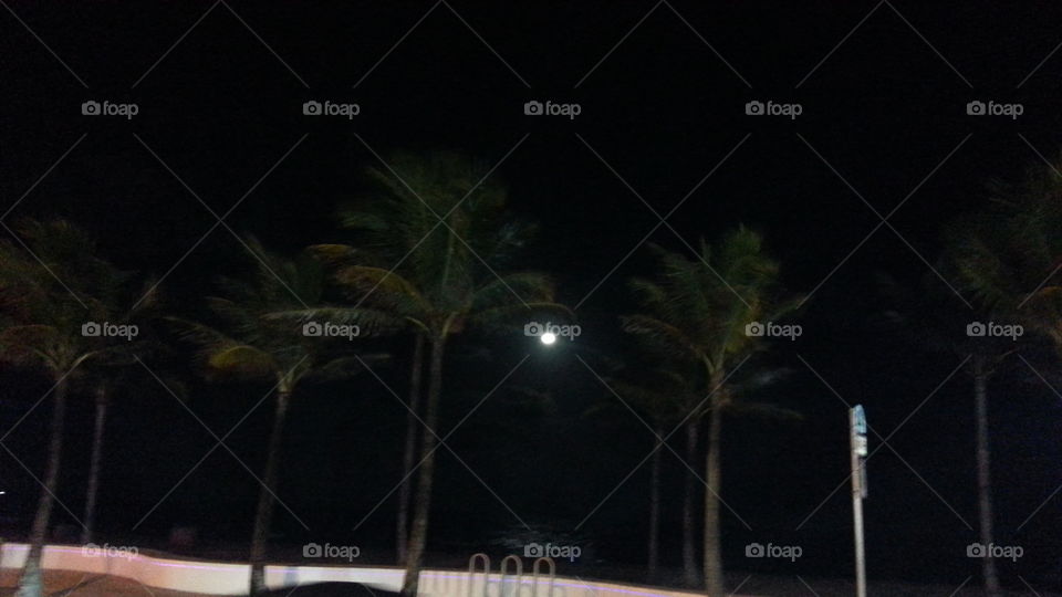 No Person, Water, Tree, Light, Beach