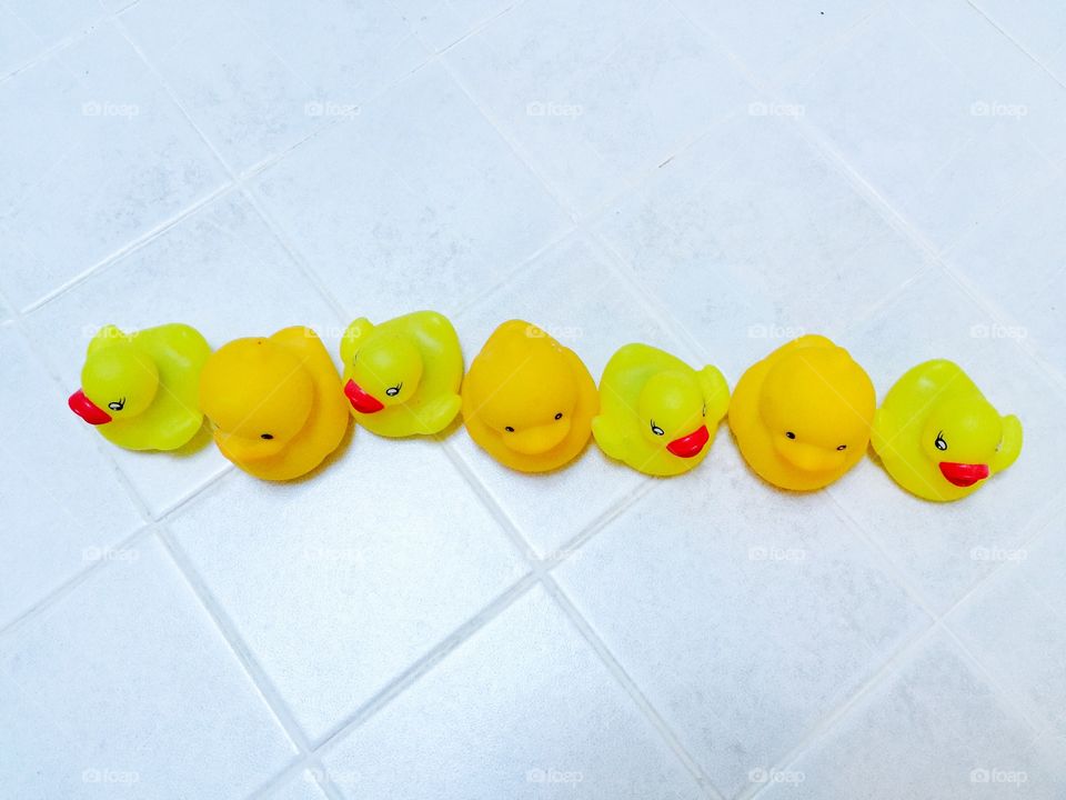 My ducks