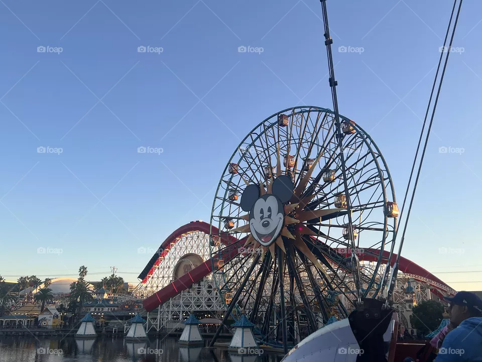 Disney 