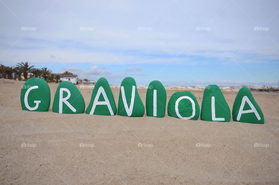 Graviola healthy fruit name on green stones