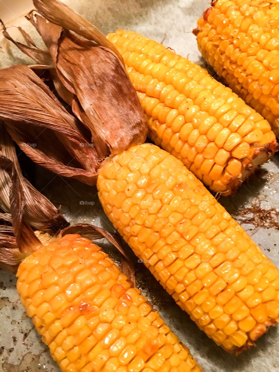 Yellow, juicy, delicious roasted corn on the cob with the husks pulled back, closeup view autumn harvest
