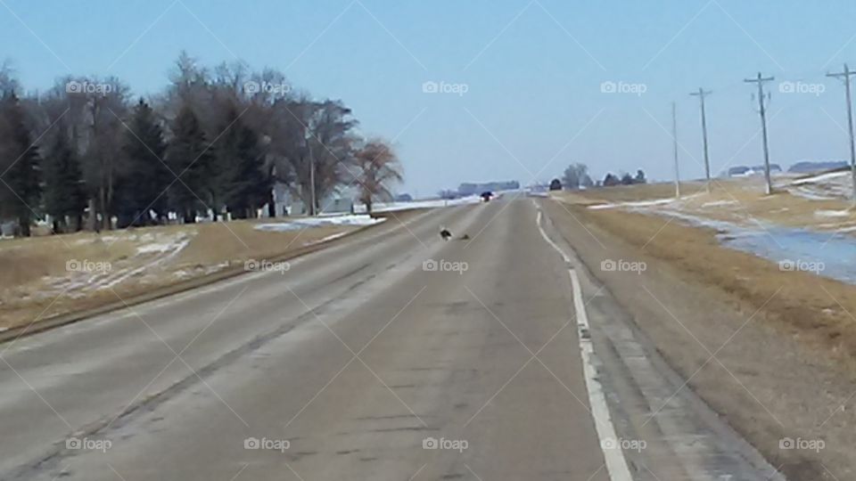 Road, Landscape, Winter, Weather, Outdoors