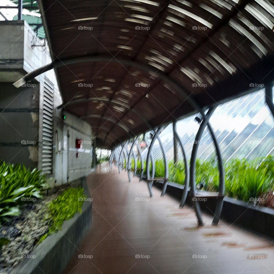 walkway rain