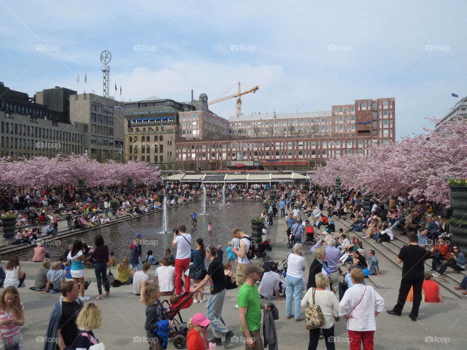 KUNGSTRÄDGÅRDEN IN STOCKHOLM