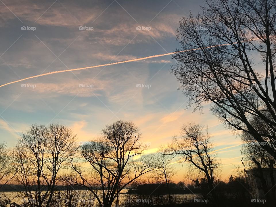 Eveniing sky and trees - River - Elbe Schleswig-Holstein 