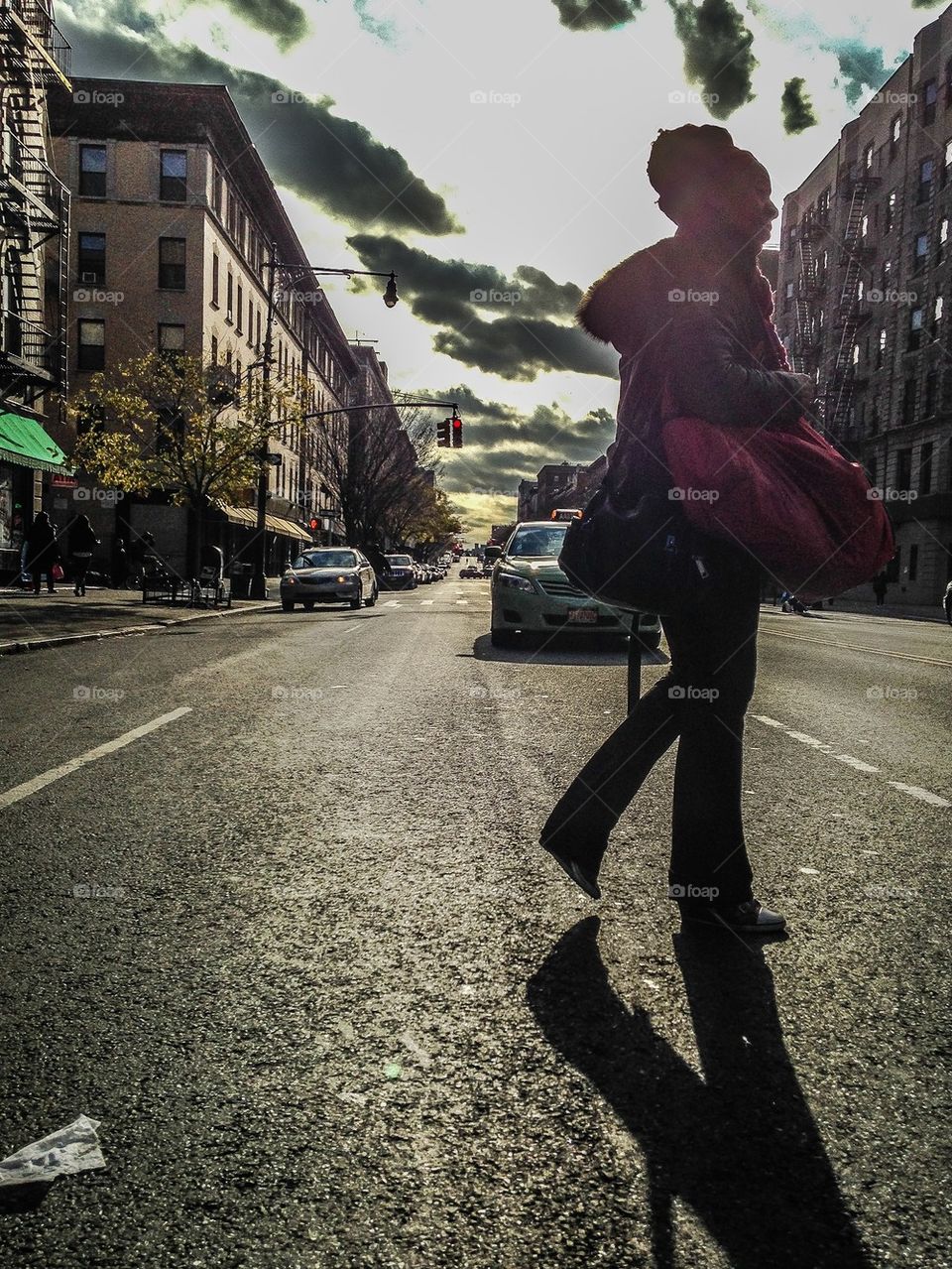 Beautiful Jay-walker