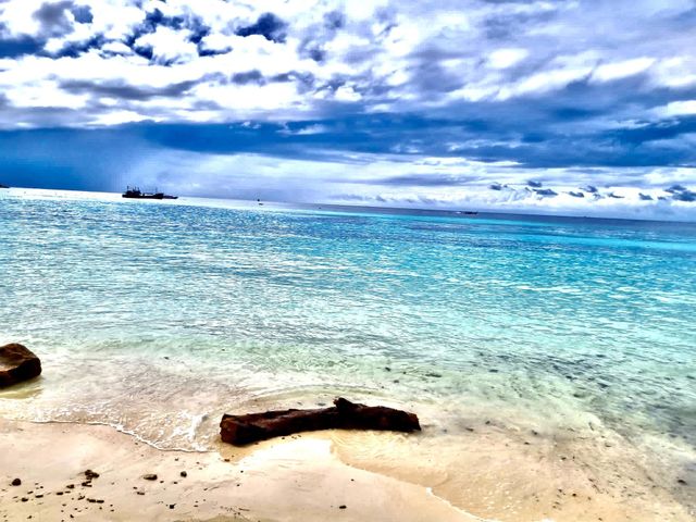 Driftwood and clear waters AMR Wozko
