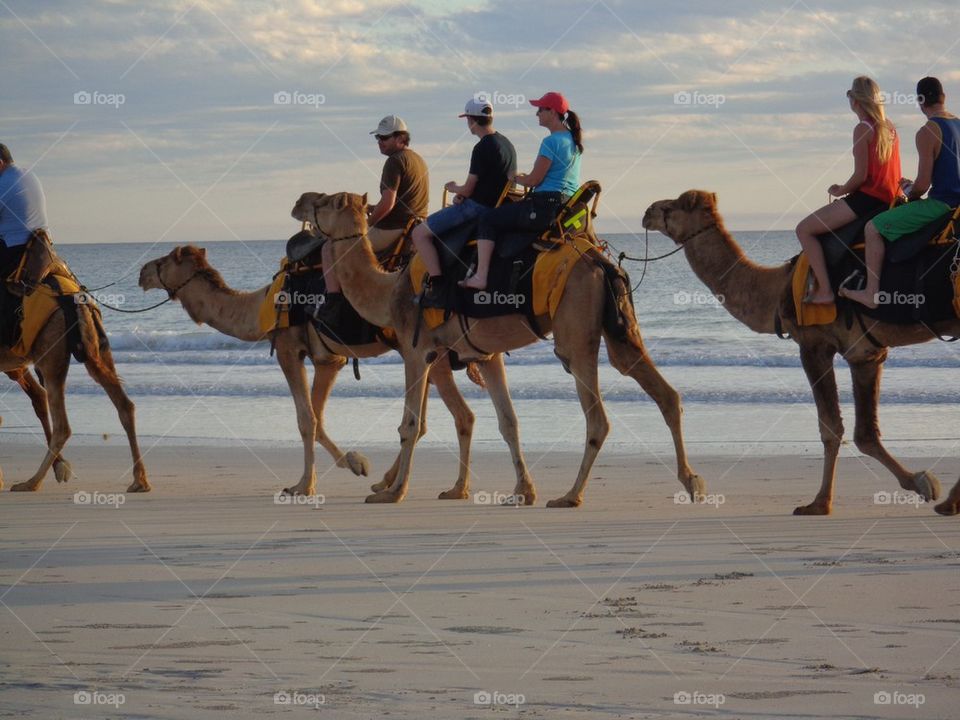 Camel ride on cable beach
