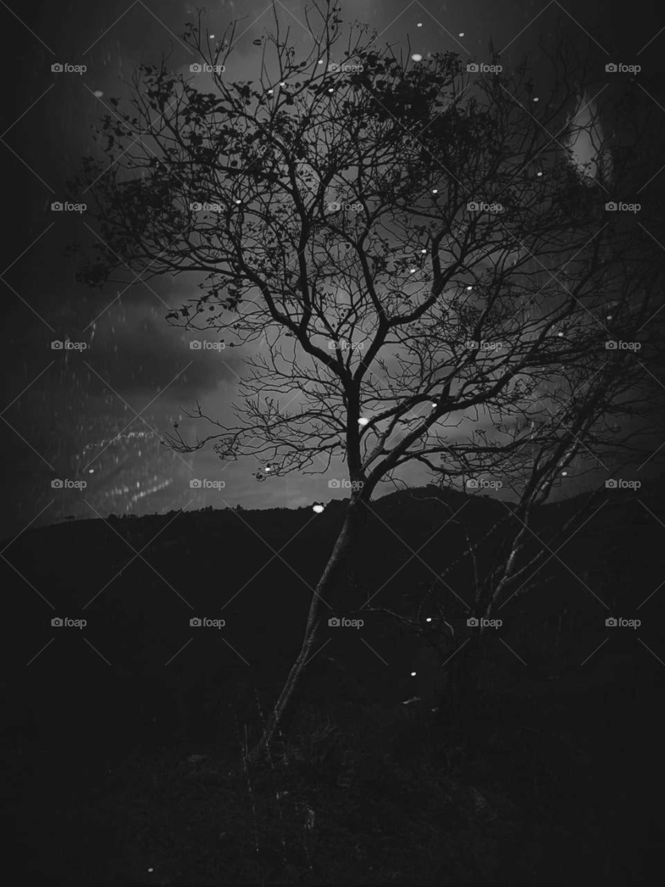 es hermosa y única si la vez con los ojos del alma