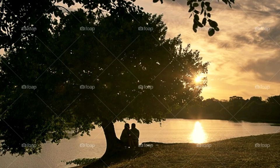 Couple sitting under the tree at sunset