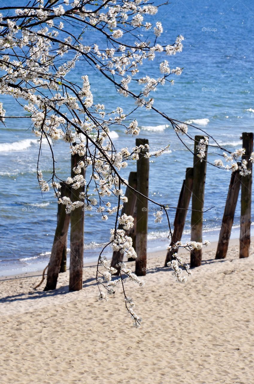 Water, Beach, Sea, Seashore, Sky