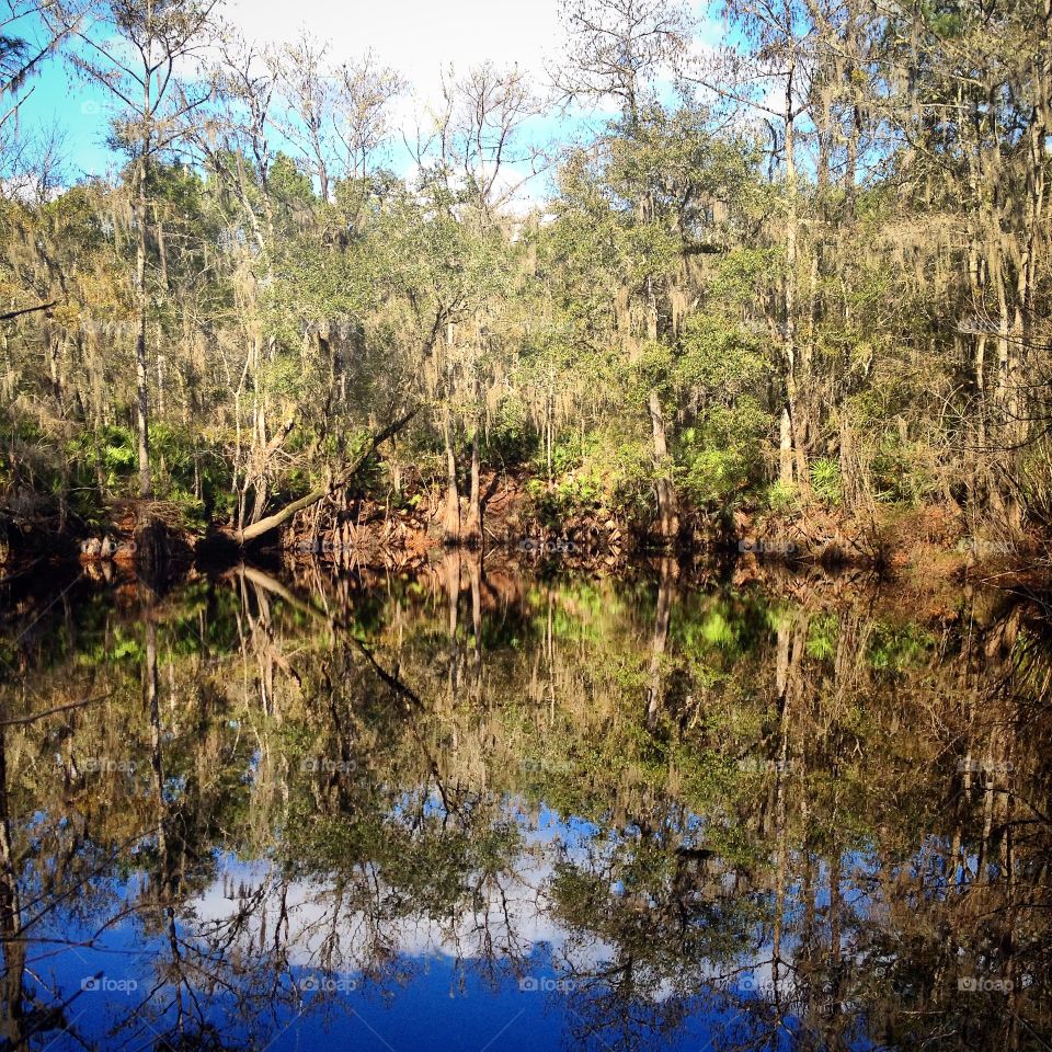 Florida sinkhole. Nature in Florida