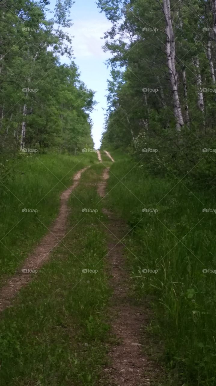 open trail