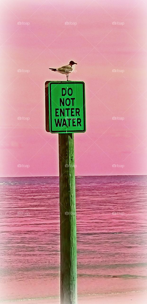 funky beach signs