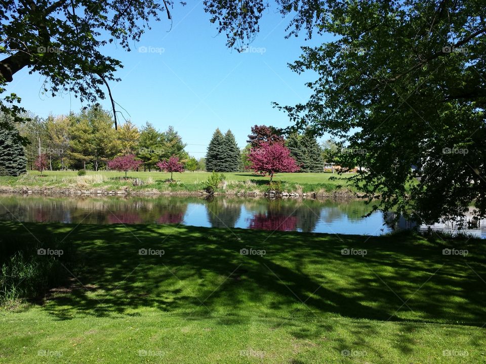 Backyard sactuary. My backyard is so peaceful.   saw the colors of the tress down by the river and it looked so serene.