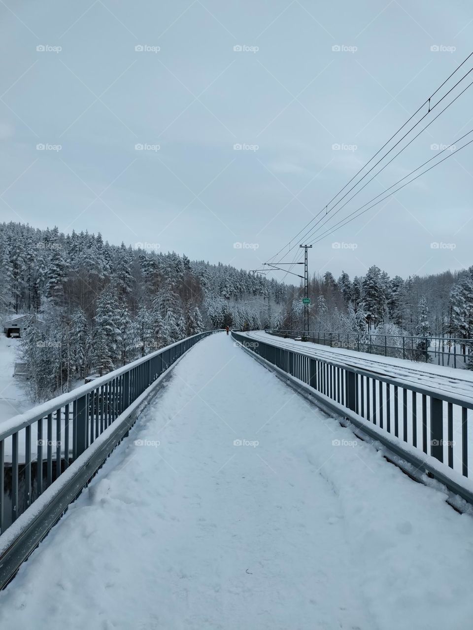 snowy bridge