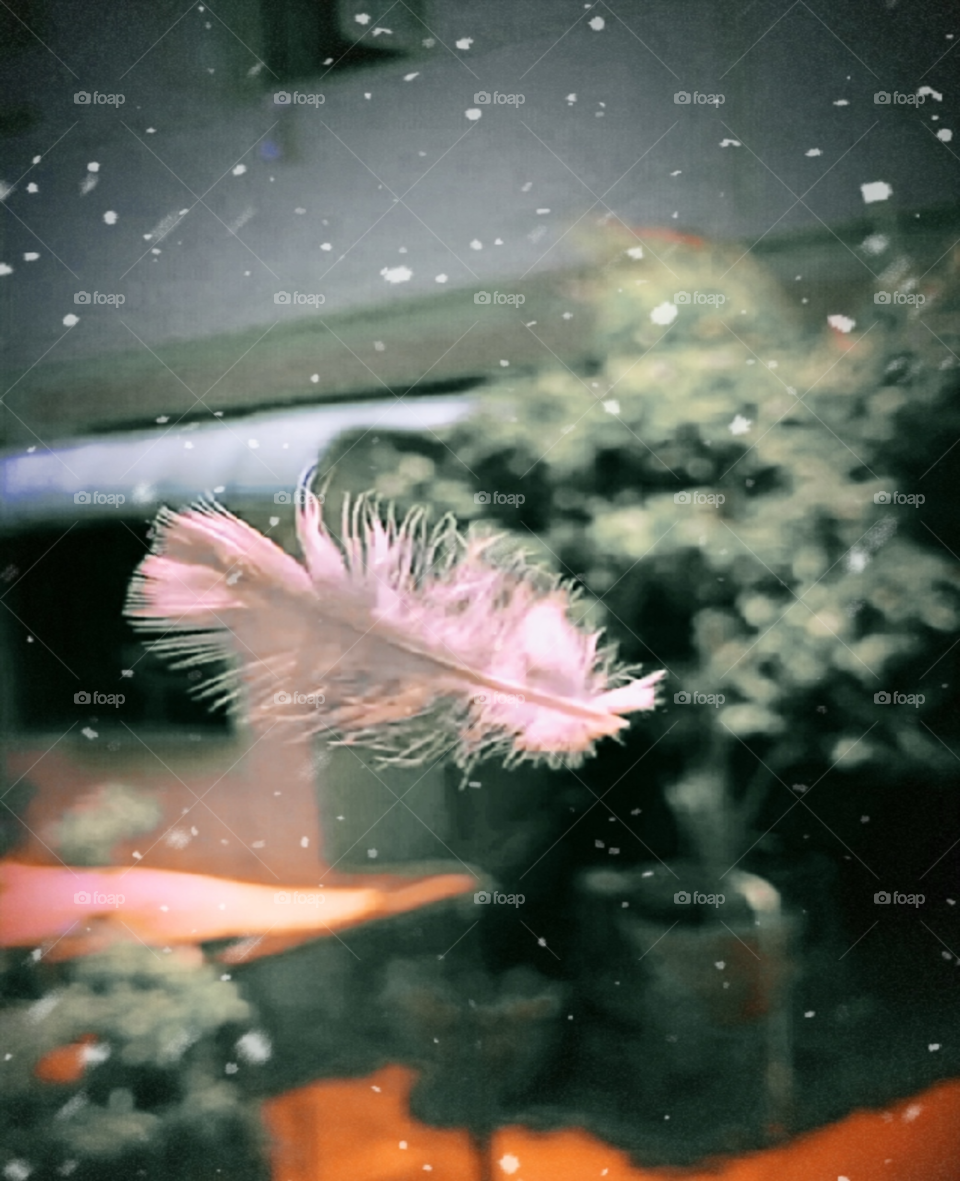 Let me be as a feather...