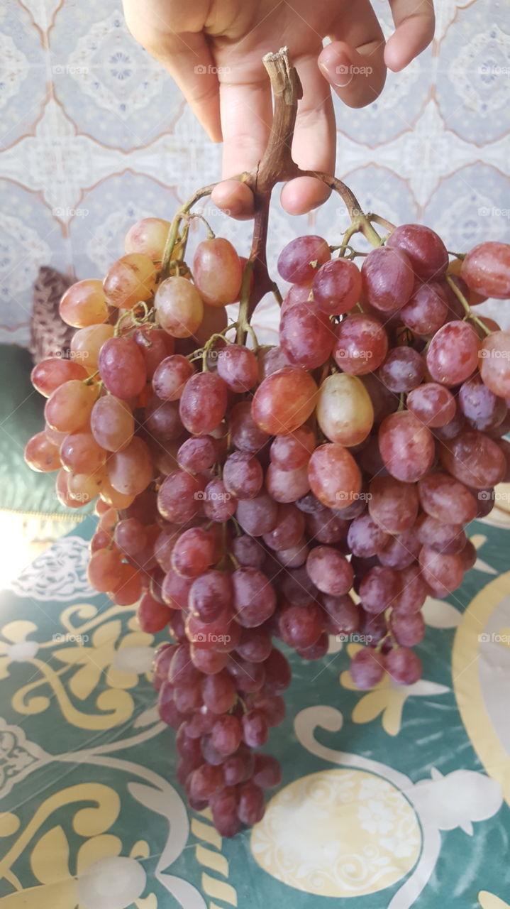 grapes