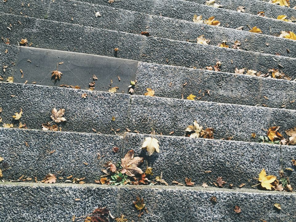 Stairs from top in fall. Top of of asphalt stairs with autumn foliage