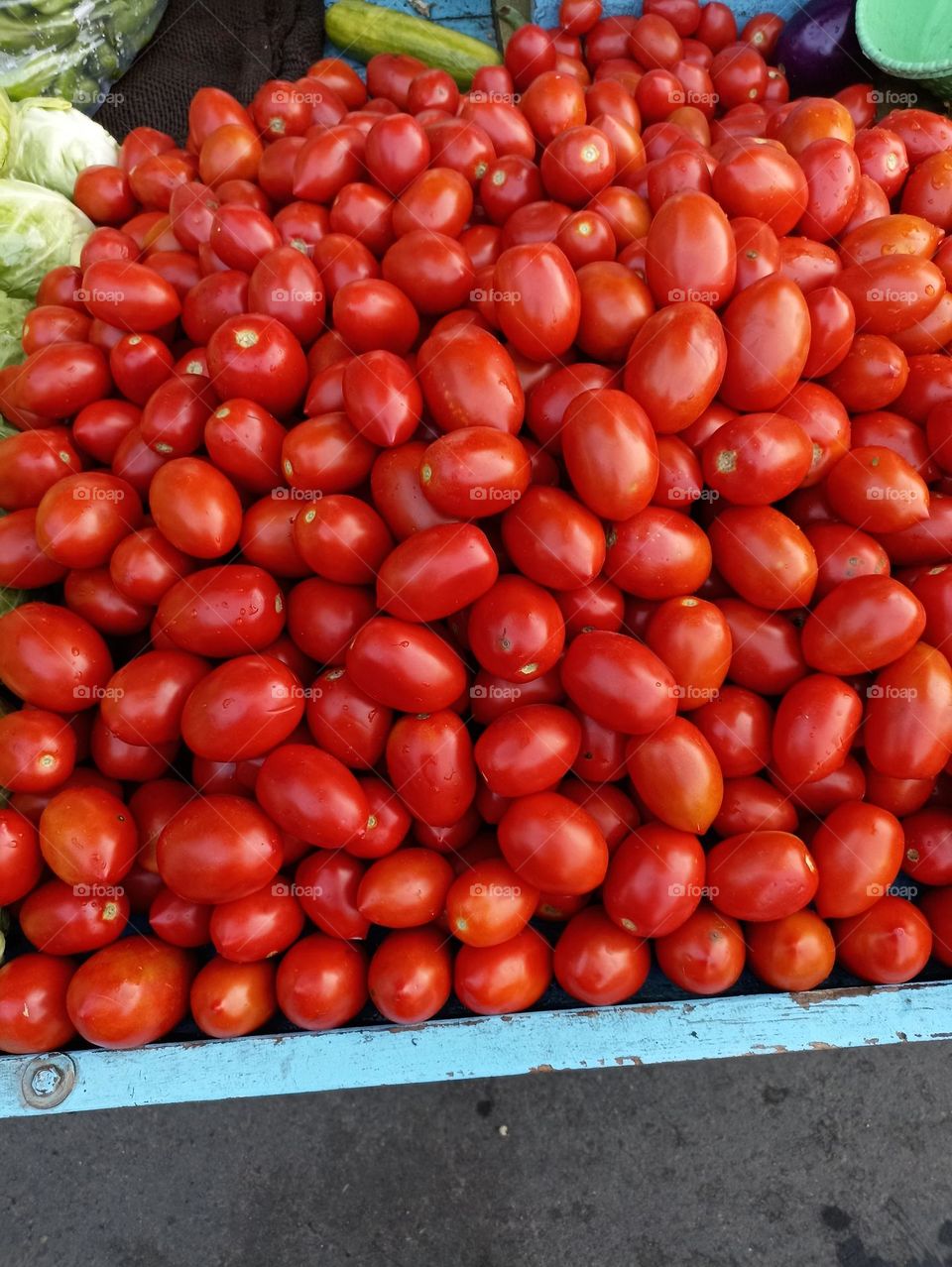 Tomatoes