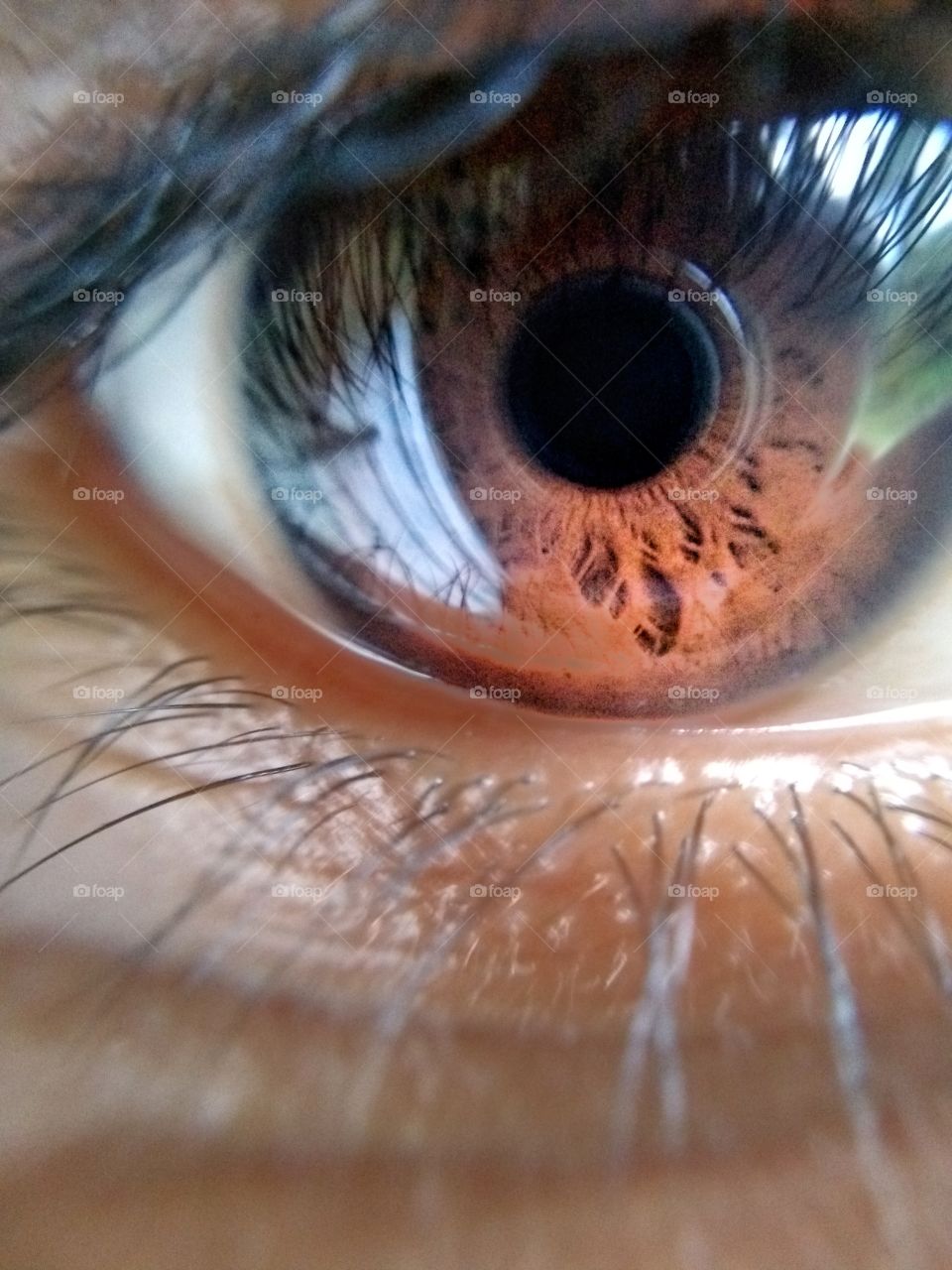 Brown eyes.