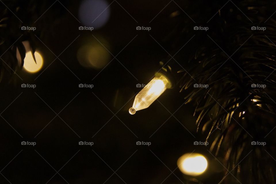 Christmas tree lights