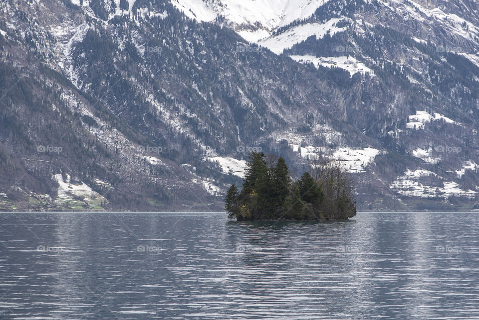 Trees on lake,Switzerland