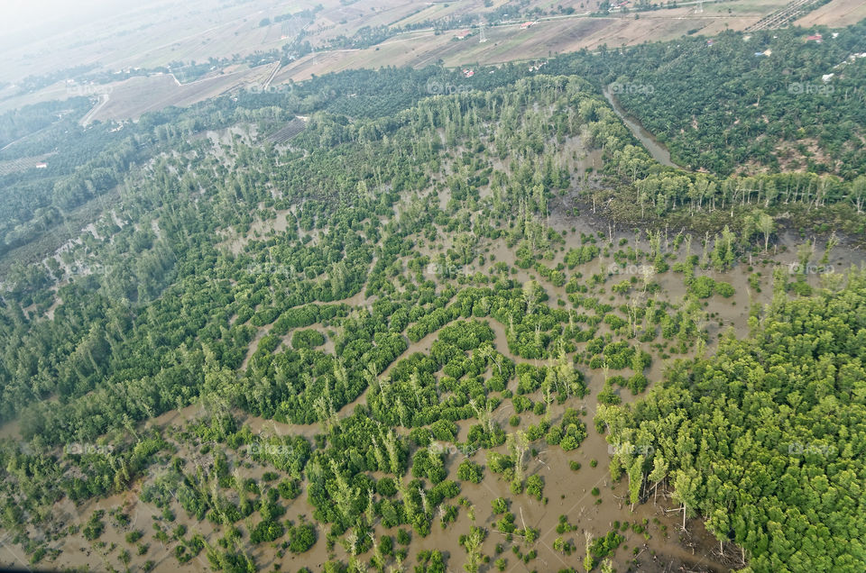 Flooded forest, outline of river is visible