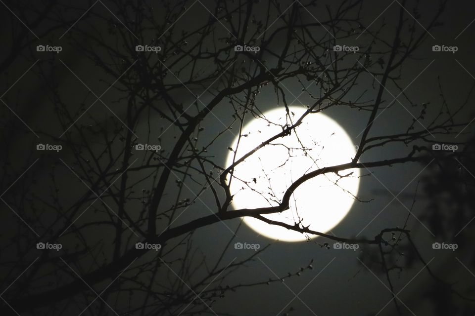 Gorgeous full moon brightest circle in the sky for sure!! 