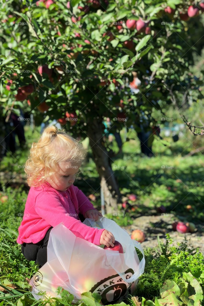 Child, Nature, Outdoors, Apple Tree, Summer