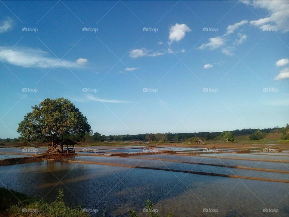 Naturel sky in sri lanka