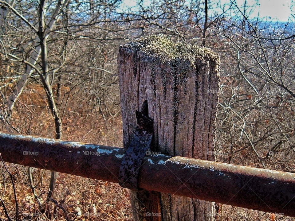 Old Rugged Fence
