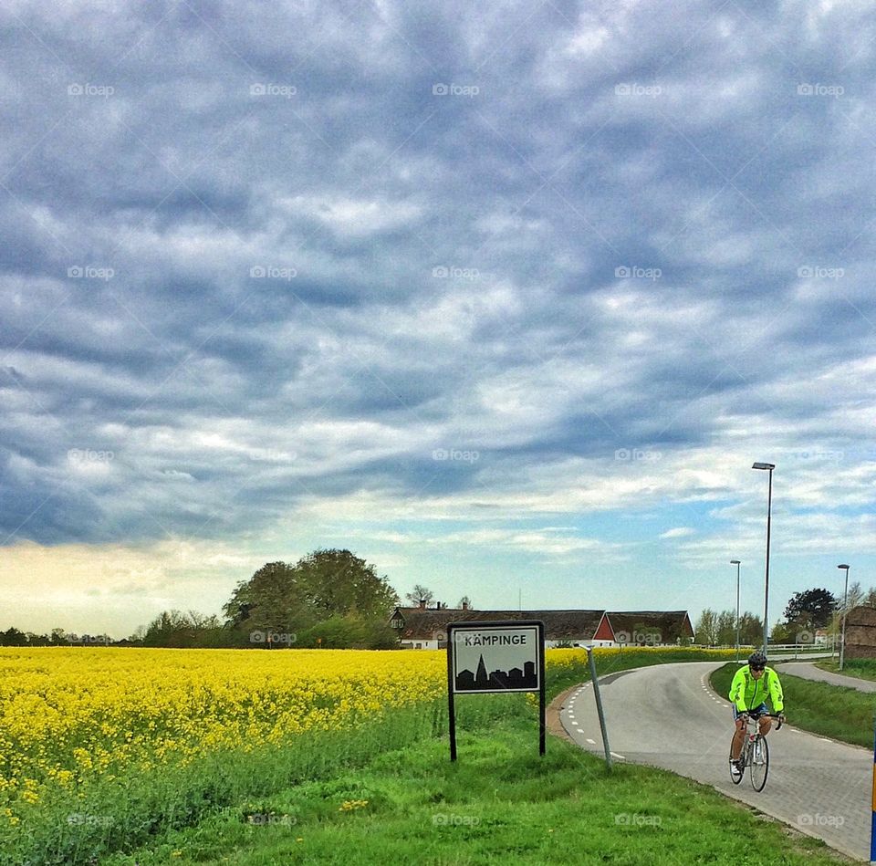 Yellow biker by yellow field