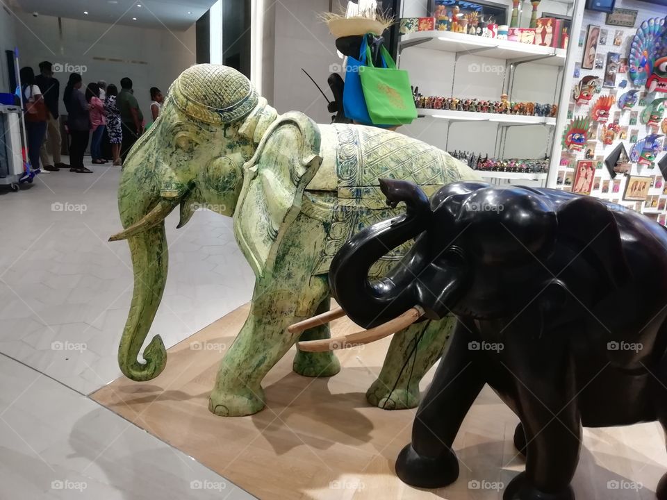 Elephants in the house