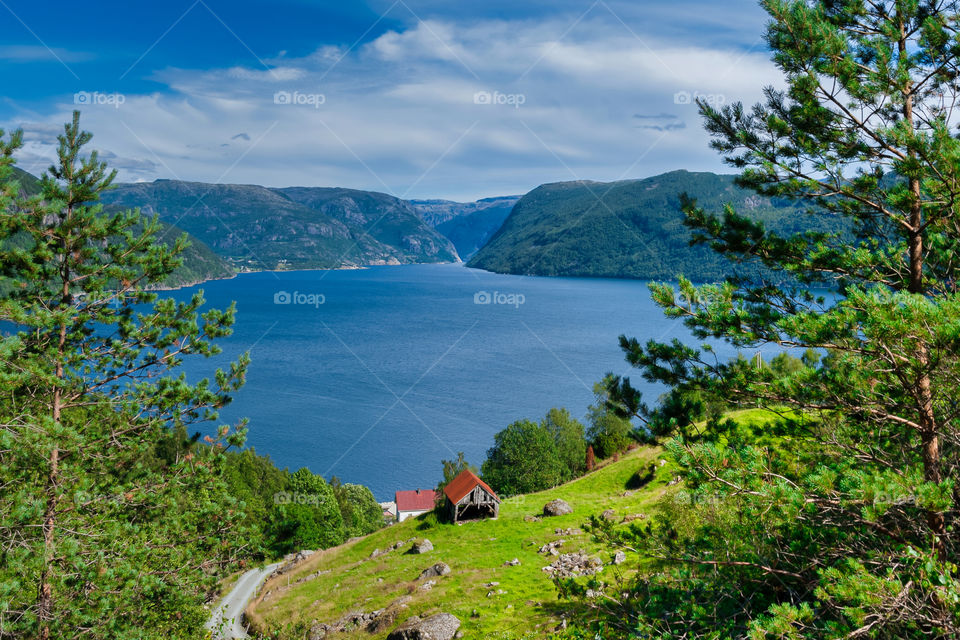 Norway. Landscape with fjord.