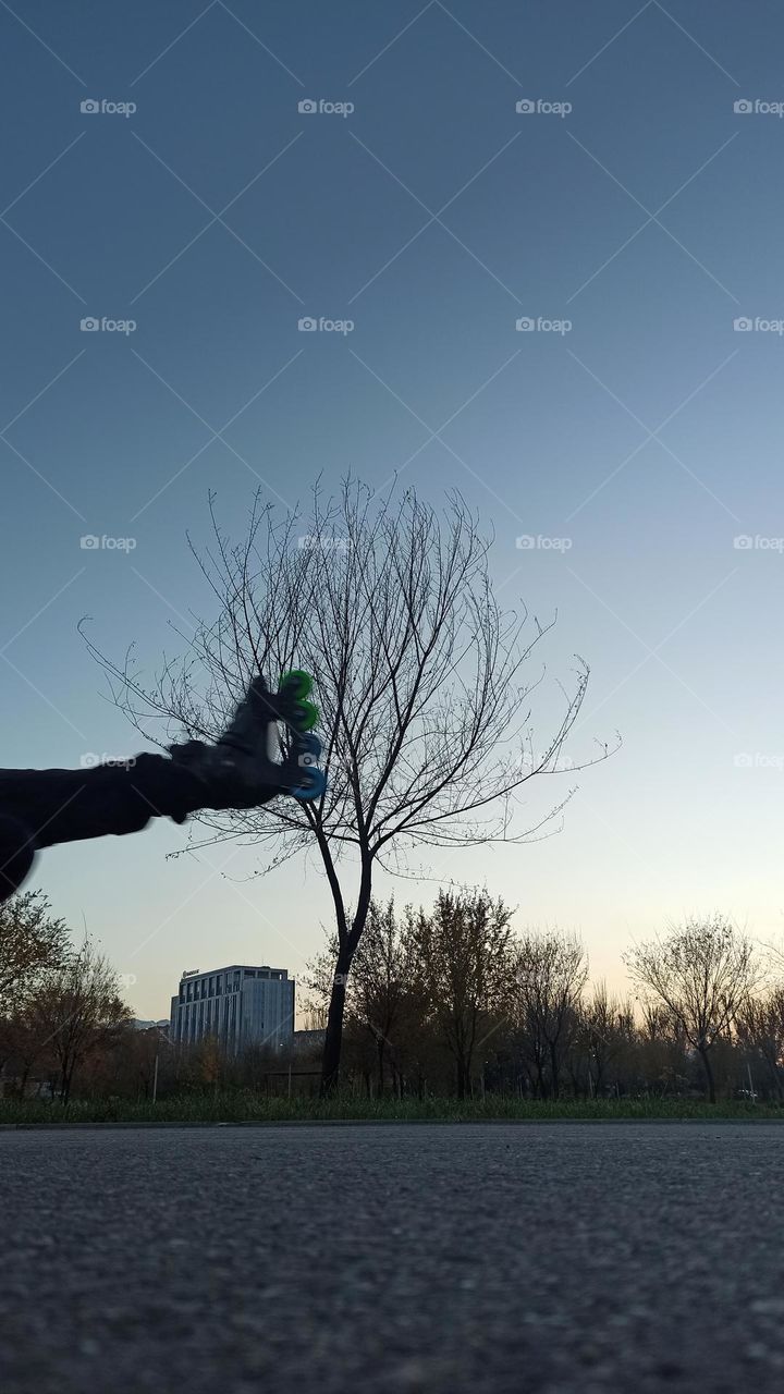 roller who want to fly