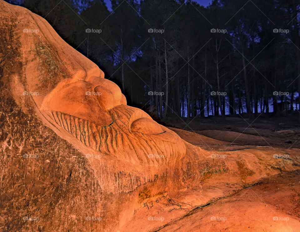 The guardian of the forest