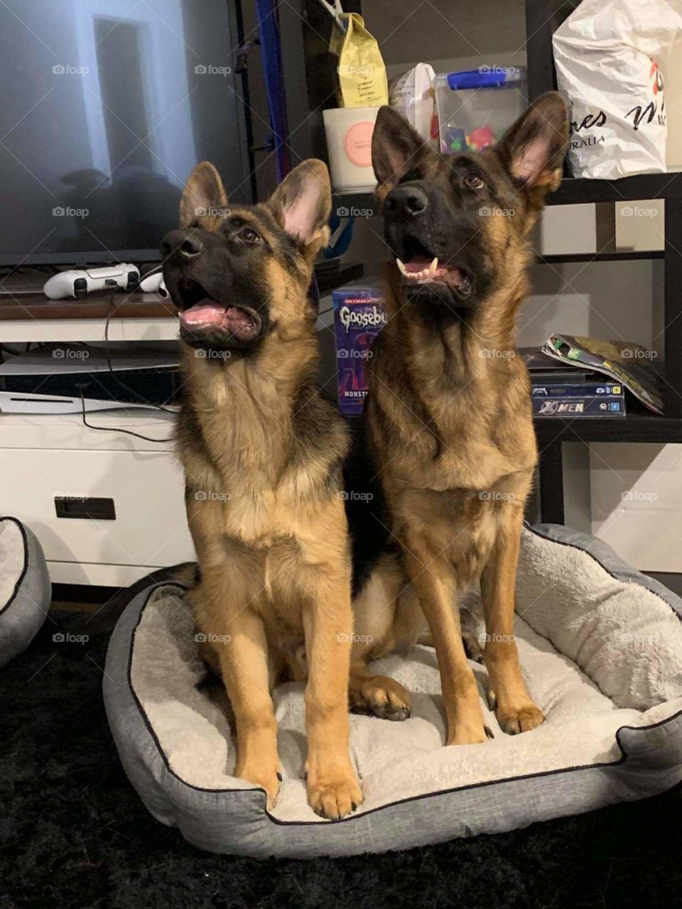 Hewoo.. we having so much fun together